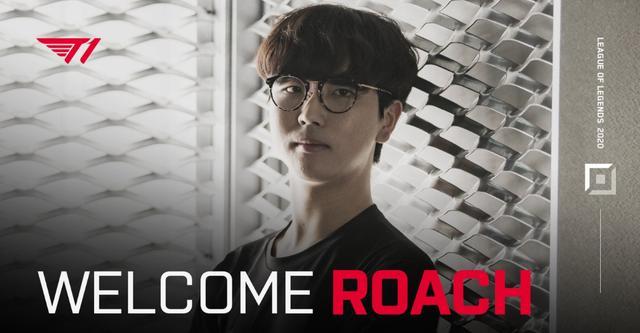 以来都在努 以来都在努